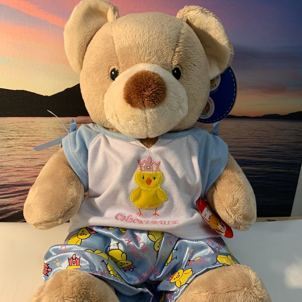 Chicks Rule - Build-a-Bear with PJs (NWT)
